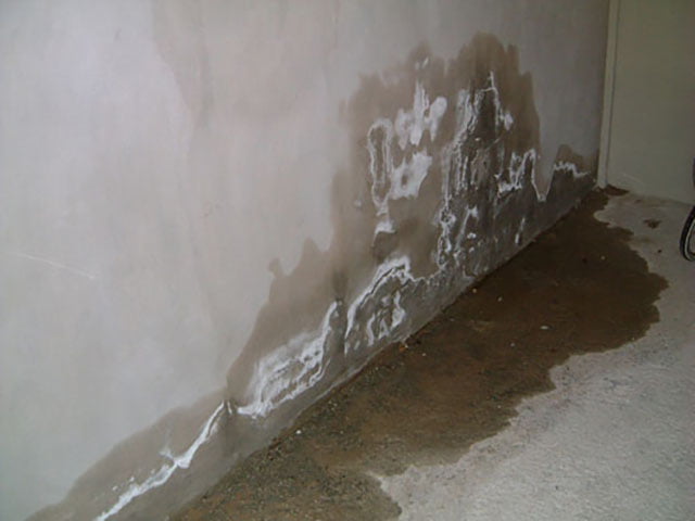 tường nhà bị thấm mốc